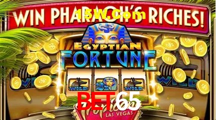 Design Responsivo Bet65
